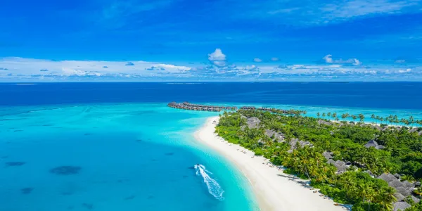 Maldive