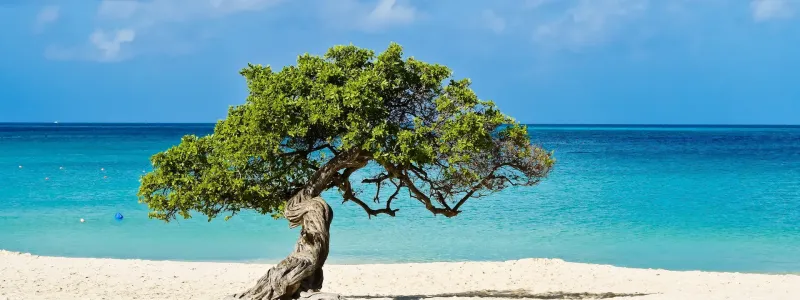 Hotel & Resort Caraibi