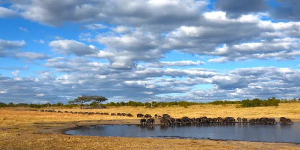 Zimbabwe