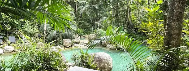 Rainforest Waterfall Escape Daintree National Park
