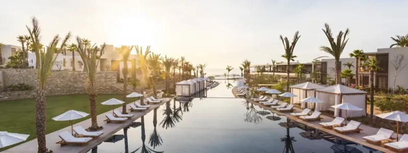 Embark on the Agave Journey Messico Los Cabos