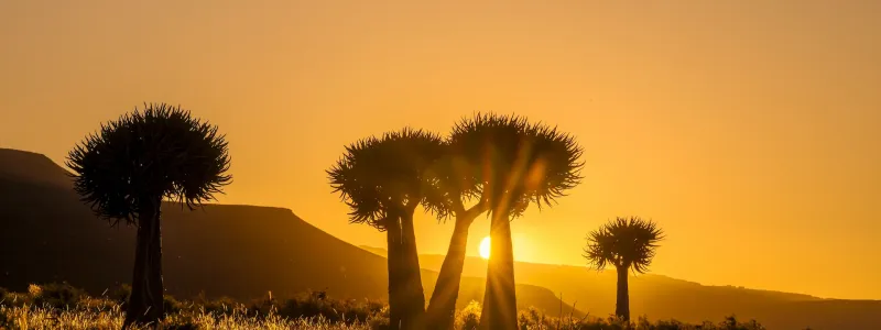 Hotel & Resort Africa Australe
